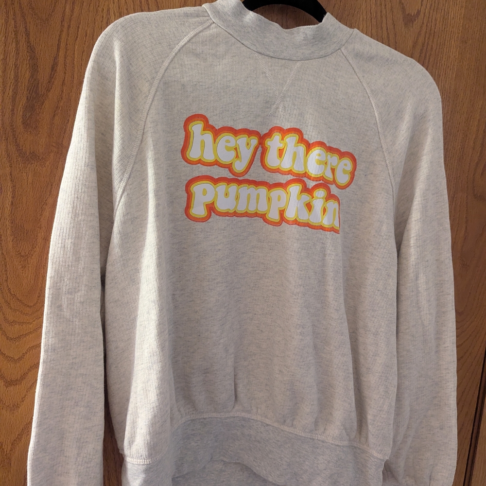 Thanksgiving Fall Hey There Pumpkin Grey Cream Heather Sweater